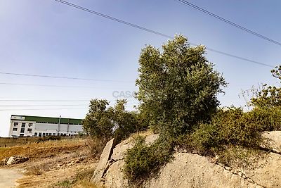listing-picture-0