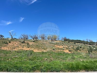 listing-picture-0