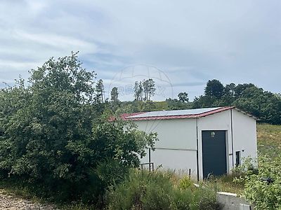 listing-picture-0