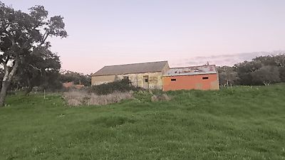 listing-picture-0