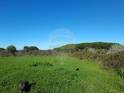 listing-picture-0