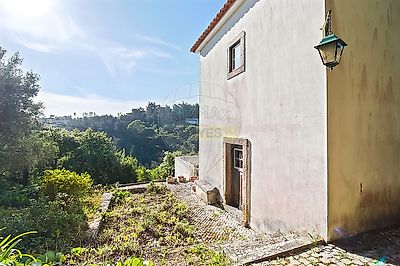 listing-picture-0