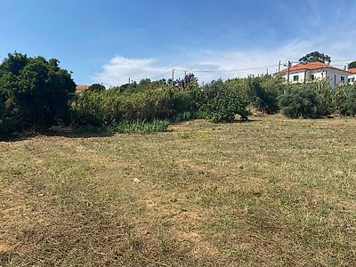 listing-picture-0