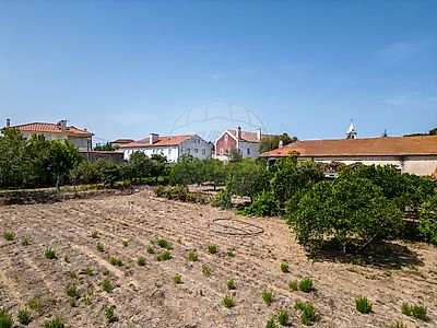 listing-picture-0