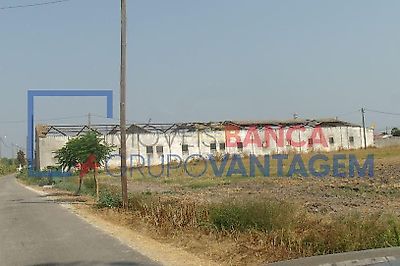 listing-picture-0
