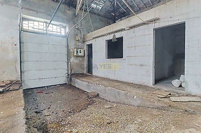 listing-picture-0