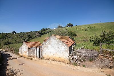 listing-picture-0