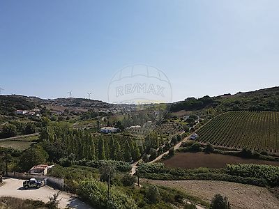 listing-picture-0