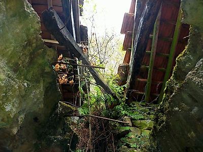 listing-picture-0