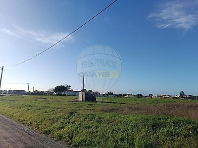 listing-picture-0