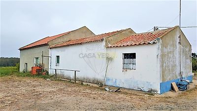 listing-picture-0