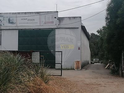 listing-picture-0
