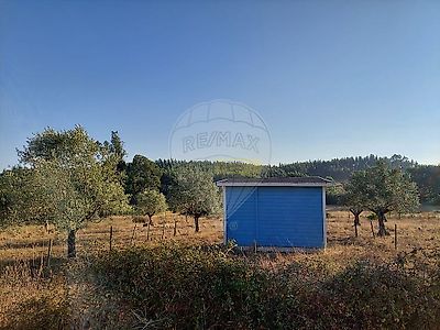 listing-picture-0