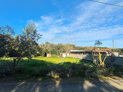 listing-picture-0