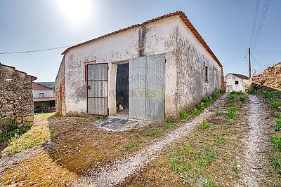 listing-picture-0