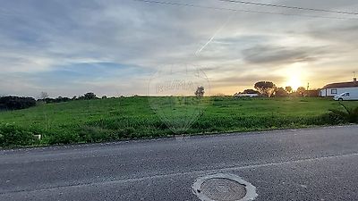 listing-picture-0