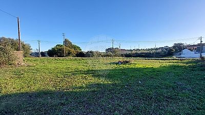 listing-picture-0