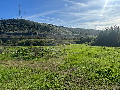 listing-picture-0