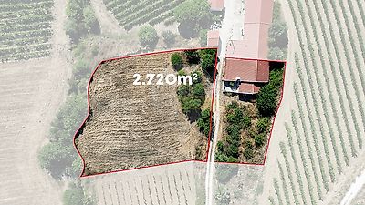 listing-picture-0