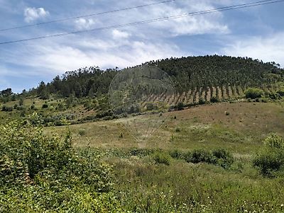 listing-picture-0