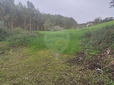 listing-picture-0