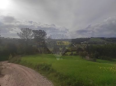 listing-picture-0
