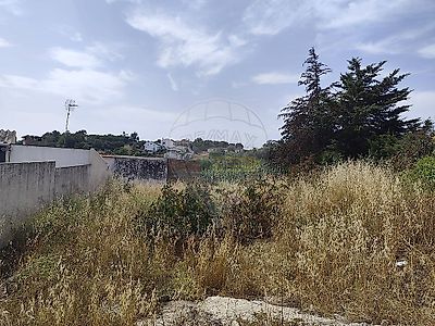 listing-picture-0