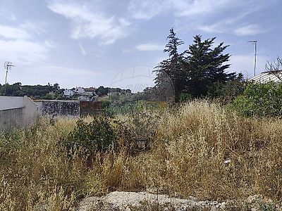 listing-picture-0