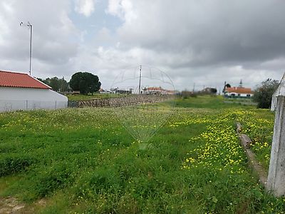 listing-picture-0