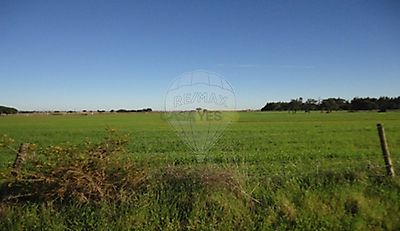 listing-picture-0