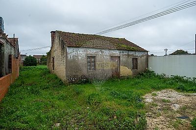 listing-picture-0