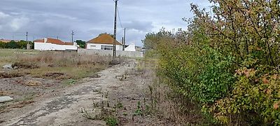 listing-picture-0