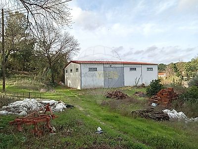 listing-picture-0