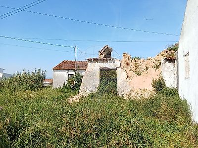 listing-picture-0
