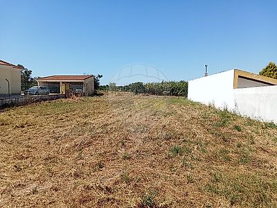 listing-picture-0