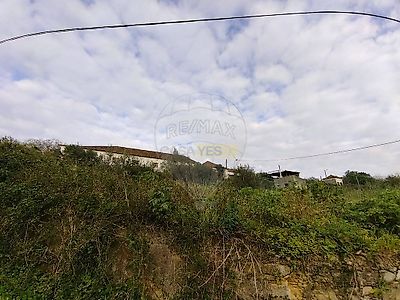 listing-picture-0