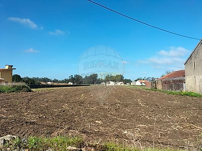listing-picture-0