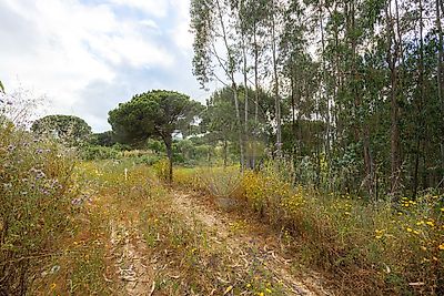 listing-picture-0