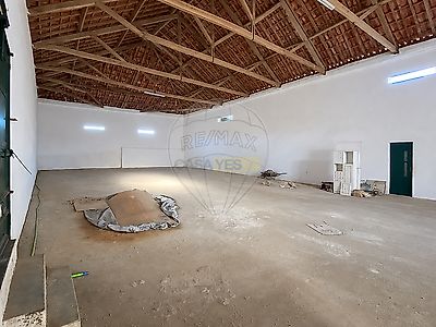 listing-picture-0