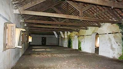 listing-picture-0