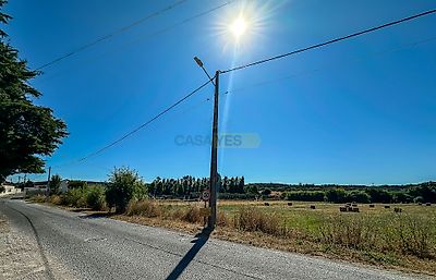 listing-picture-0