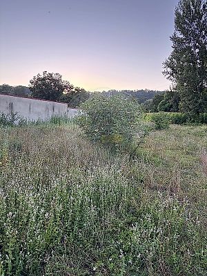 listing-picture-0