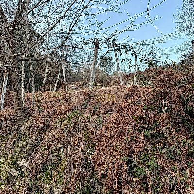 listing-picture-0