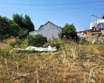 listing-picture-0