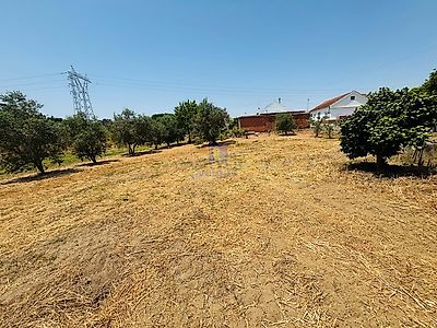 listing-picture-0