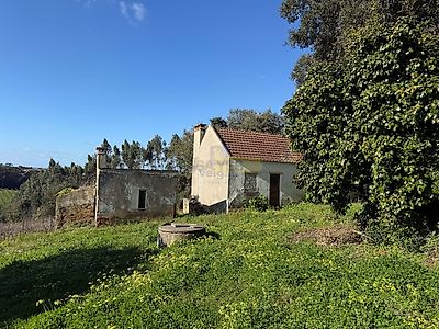 listing-picture-0