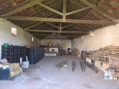 listing-picture-0
