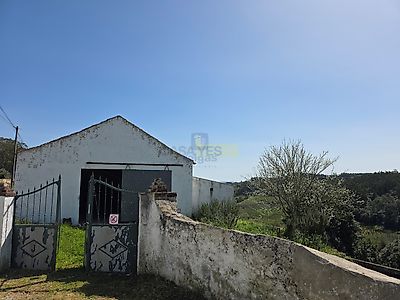 listing-picture-0