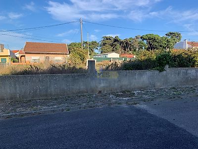 listing-picture-0