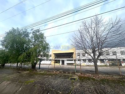 listing-picture-0